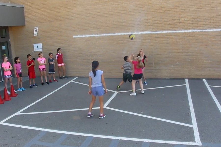 Volleymur
