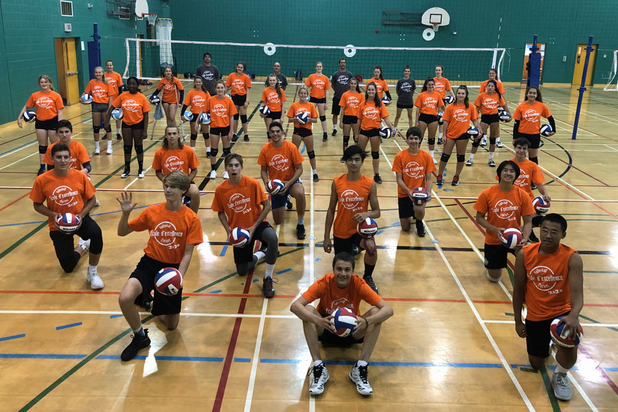 ACT CampEstival2020 EcoleExcellence