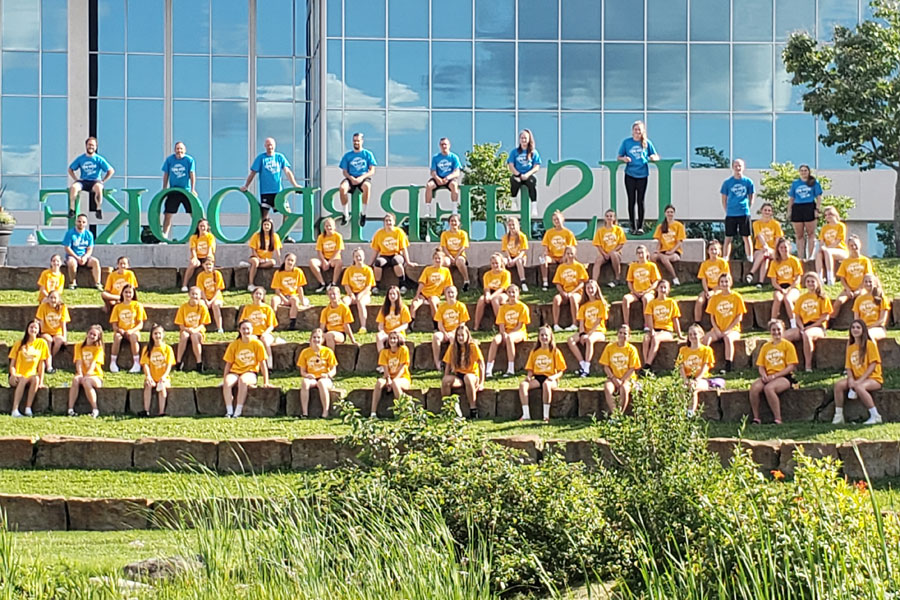 CampVolleyballSem12020 Web
